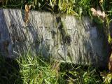 image of grave number 958755
